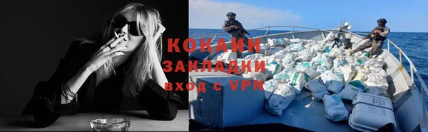 прущие грибы Ветлуга