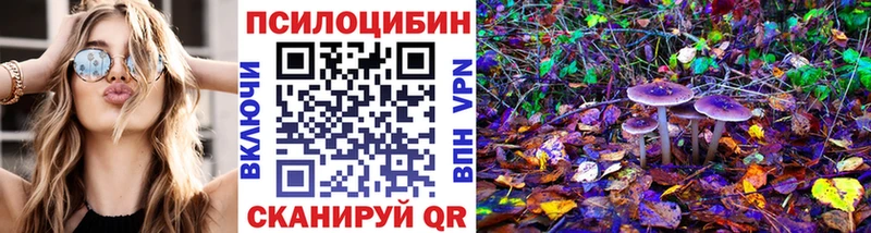 Псилоцибиновые грибы Psilocybe хочу наркоту Серафимович