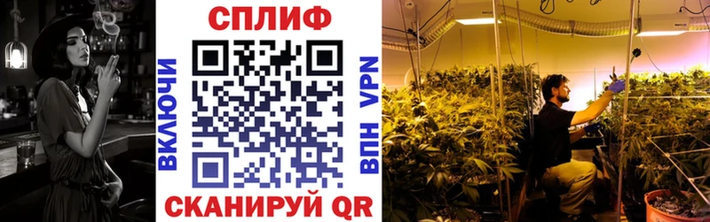 кракен ссылки  как найти наркотики  Серафимович  Бошки Шишки индика 